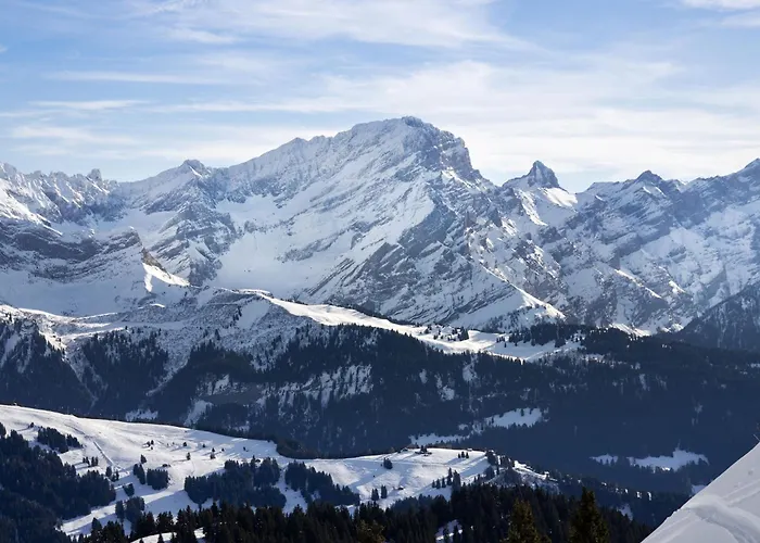 Apartman Le Bristol B36 By Interhome