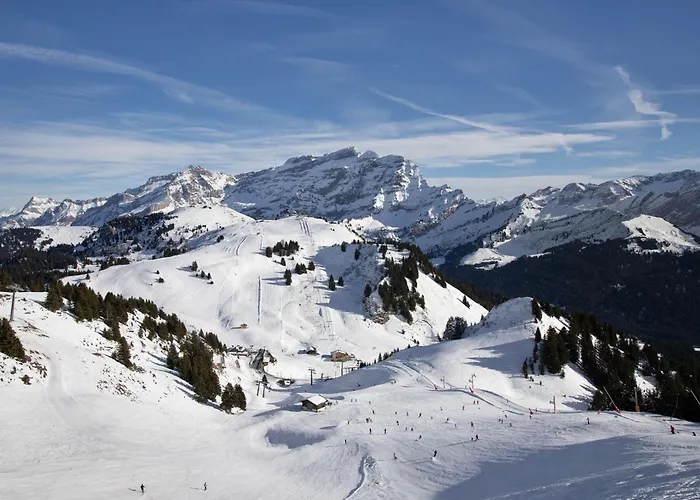 Le Bristol B36 By Interhome Villars-sur-Ollon