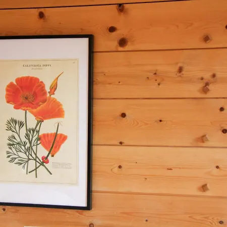 Apartman Le Bristol B36 By Interhome Villars-sur-Ollon