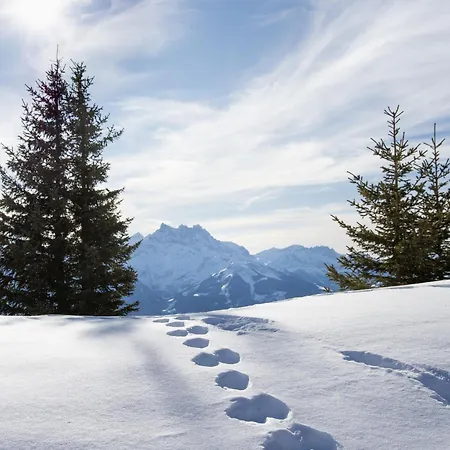 Le Bristol B36 By Interhome *