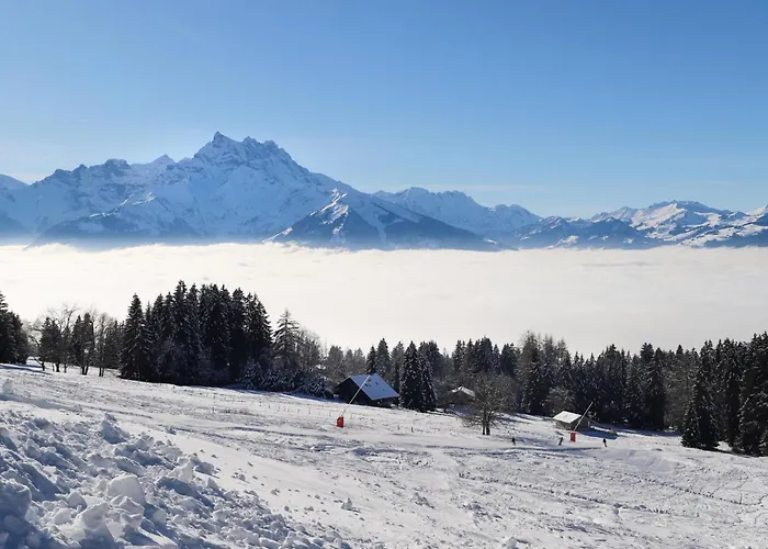 Le Bristol B36 By Interhome * וילארס-סור-אולון