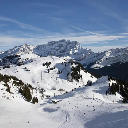 Le Bristol B36 By Interhome Villars-sur-Ollon