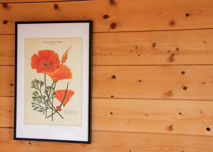 Daire Le Bristol B36 By Interhome Villars-sur-Ollon