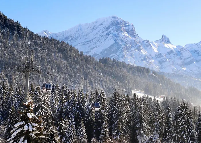 Le Bristol B36 By Interhome * Villars-sur-Ollon