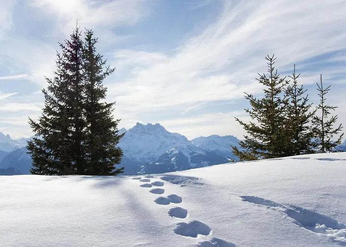 Le Bristol B36 By Interhome *